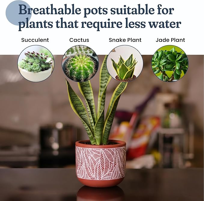 FINE Living 4 Inch Terracotta Pot with White Leaf Pattern, Boho Ceramic Planter Clay Pots for Indoor Plants, Succulent Planter with Drainage Hole and Mesh Net for Spring Gifts, Garden & Home Decor