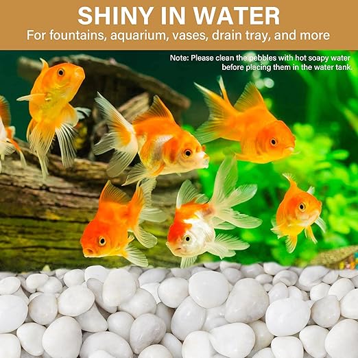 NUPICK 45lb White River Rocks for Outdoor Landscaping, 1-2 Inch Pebbles for Indoor Plants, Natural Polished Aquarium Gravel, Decorative Rocks for Succulent, Garden, Vases Fillers, Bird Baths