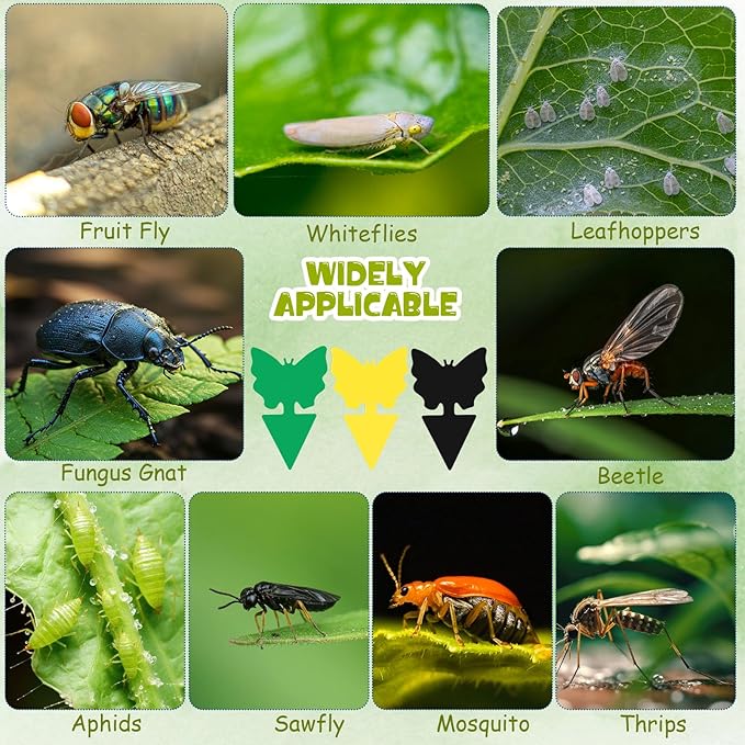 60 Pack Fruit Fly Traps Fungus Gnat Sticky Traps Yellow Black Green Plant Fly Stickers Double Side with Shovel for Indoor Outdoor Kitchen Garden Houseplant Flying Bug Insect (Butterfly)