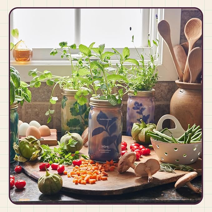 Modern Sprout Mason Garden Jar - Self-Watering Hydroponics Growing System Kit with Organic Herb Seeds - Jar Planter for Indoor Herb Garden - Seed Starter Kit - Home Decor & Gifting - Rosemary