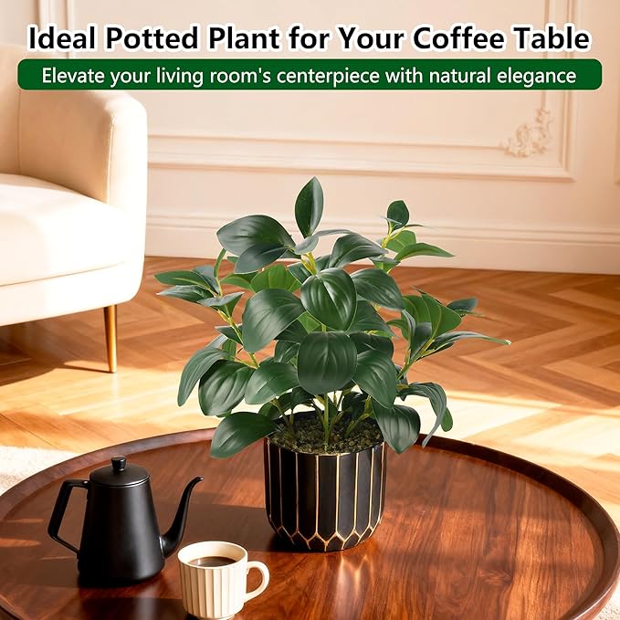 florisso Artificial Succulents & Fig Leaf Potted Decor - Faux Succulents with Fig Leaf Greenery in Black & Gold Plastic Planter (No Actual Figs) for Farmhouse, Bathroom, Bedroom & Office Decor