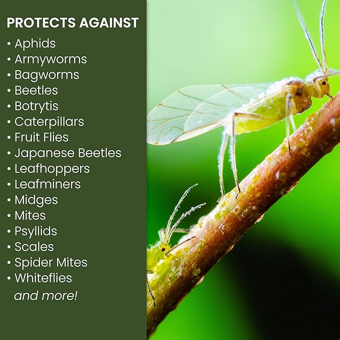 Natria 706250A Neem Oil Spray for Plants Pest Organic Disease Control, 24 Ounce 8 Pack, Ready-to-Use