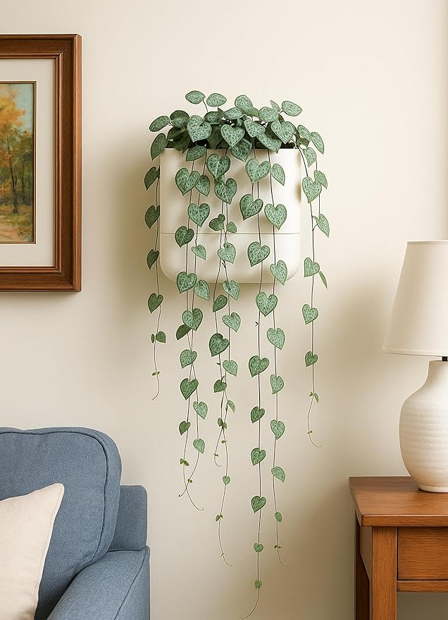 Phoenix Vine 6.5 Inch Wall Mounted Self-Watering Planter Pot for Indoor Houseplants and Herbs | Hanging Planter for Window Sills, Bathroom Walls, Home & Office Décor, Oatmeal, Set of 1, 01-C-G-1