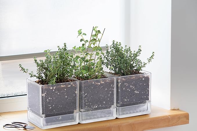 D'vine Dev 4 Inch Herb Planter Pots, Acrylic Planter with Drainage Holes and Saucer, Modern Decorative Gardening Pot for Indoor Plants, Herbs, Succulents, Clear, Set of 6, 76-Y-D-6
