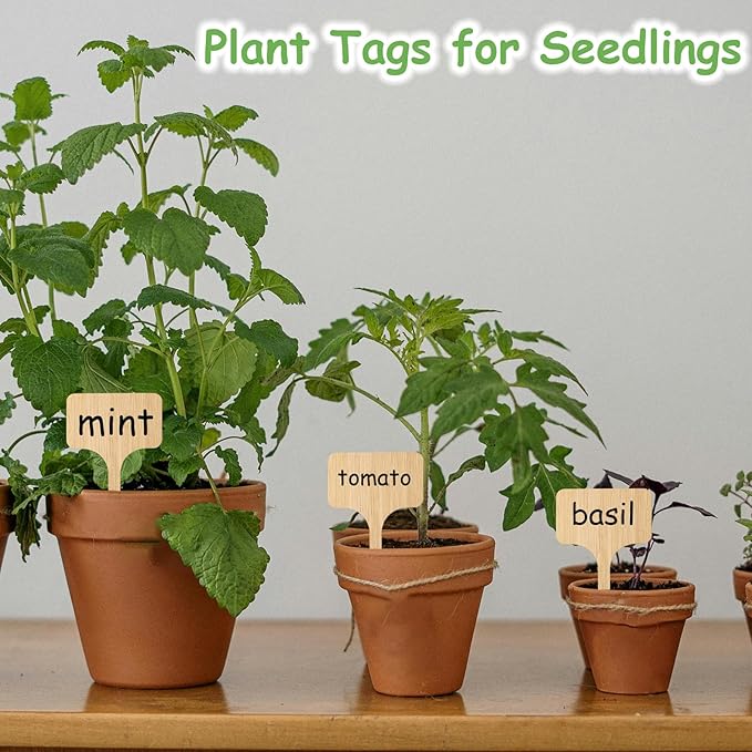 140 Pcs Bamboo Plant Labels with 1 Marker Pen, T-Type Natural Seedling Nursery Sign Tags, Wood Garden Markers Decorative Patio Tags for Outdoor Indoor Potted Plants Herbs Flowers Vegetables