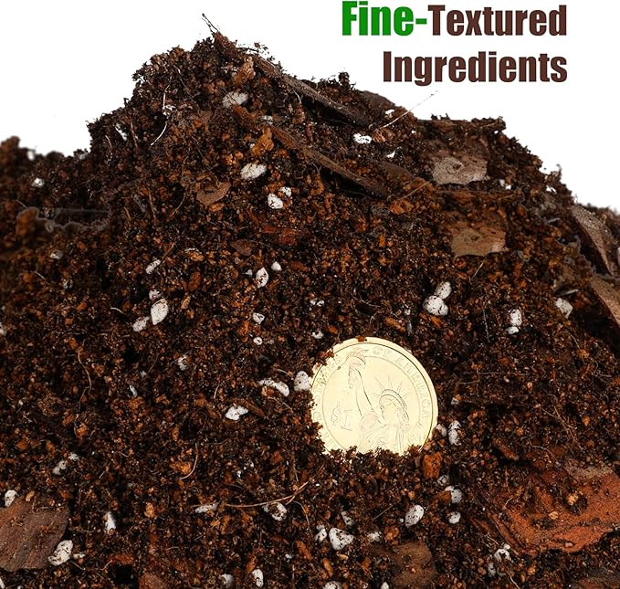 Doter Organic Money Tree Soil Mix 4qt, Indoor Plants Potting Mix for All Potted Money Tree, Grow Healthy houseplants Indoors