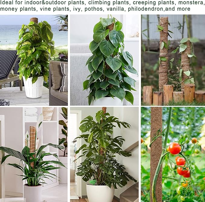 Fabulas Moss Pole 36 Inch - Monstera Plant Support, 2 Pack 20.5 Inch Plant Stakes for Indoor Plants Coco Coir Moss Pole Sticks for Climbing Potted Live Plants, Pothos, Philodendron, with Garden Ties