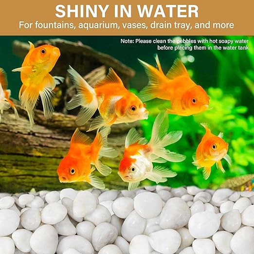 NUPICK 12lb White River Rocks for Plants Indoor, 1-2Inch Pebbles for Vases Fillers, Decorative Gravel for Fish Tank, Natural Polished Stones for Succulent, Bonsai, Landscaping, Bird Baths