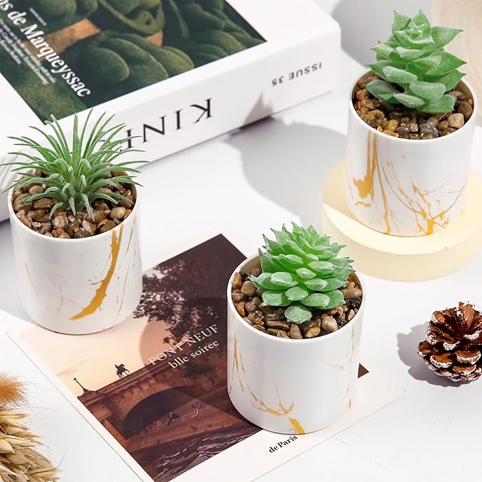 Der Rose Set of 4 Succulents Plants Artificial Mini Fake Succulents Plants for Office Desk Accessories for Women Home Decor(Green)