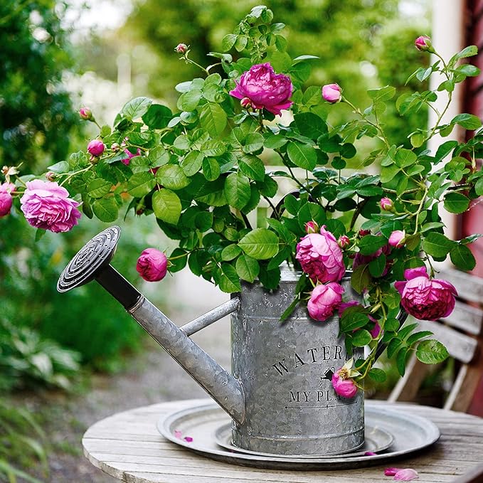 Garutom Galvanized Watering Can for Outdoor Indoor Plants, 1 Gallon Decorative Countryside Style Water Can with Removable Spout, Perfect Metal Watering Can for Indoor Plants and Garden Flower