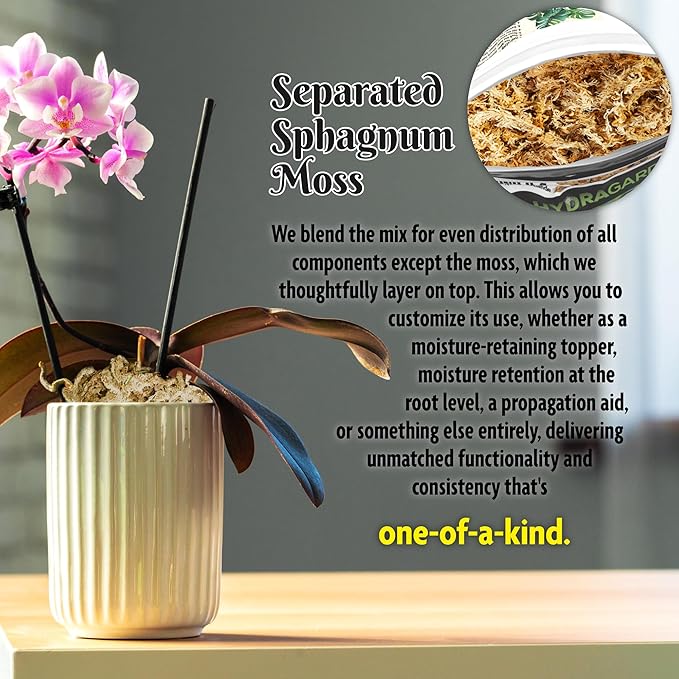 Forbidden Cereal Aroid Potting Mix 6.5QT – Chunky High-Draining Soil for Monsteras, Hoyas, Orchids & Tropical Indoor Houseplants – 8 Organic Ingredients, Peat-Free, Soilless Growing & Repotting Mix