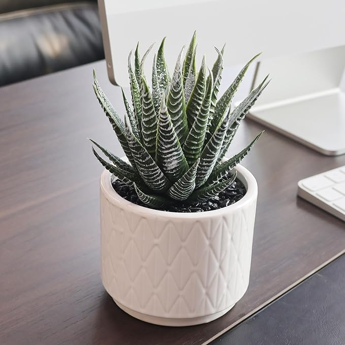 Jahe Aloe Plant Artificial Plants Indoor, 6.7'' High Faux Plants Indoor, Realistic Looking Artificial Succulent in Ceramic Pot, As a Gift for Women, Suitable for Room, Bathroom, Living Room, 1 Pack
