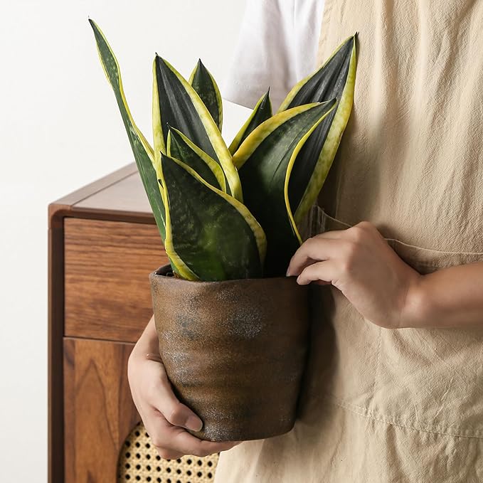 Modern Irregular Ceramic Planter Set of 2-4+6 Inch Unique Reactive Glaze Flower Pots with Drainage Holes & Saucers - Indoor Outdoor Decorative Succulent Orchid Pots,Brown