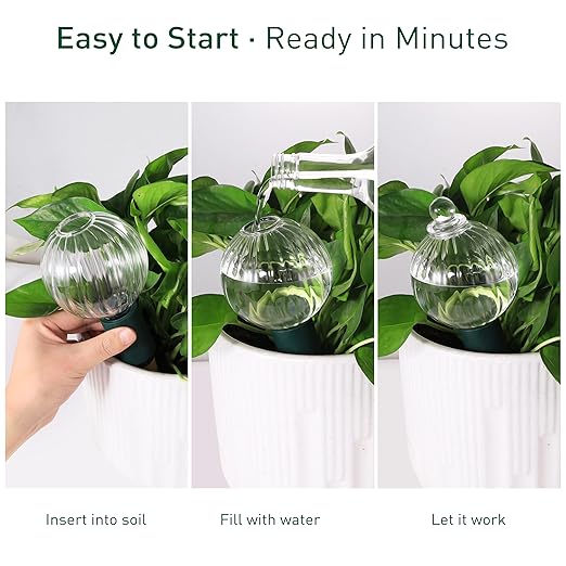 Soilagua 12 oz Plant Watering Globes Top Fill, Clear Glass Water Bulbs with Terracotta Spikes Stake, Vacation Slow Release Self Watering Planter Insert, Automatic Drip Device, 1 Pack