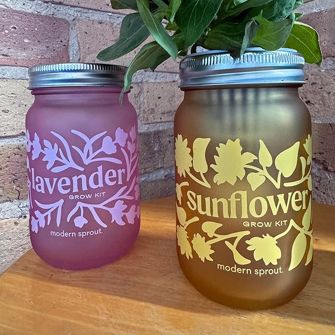 Modern Sprout Mason Garden Jar -Self-Watering Hydroponics Growing System Kit w/Organic Herb Seeds - Jar Planter for Indoor Herb Garden -Seed Starter Kit Basil+Lavender+Sunflower