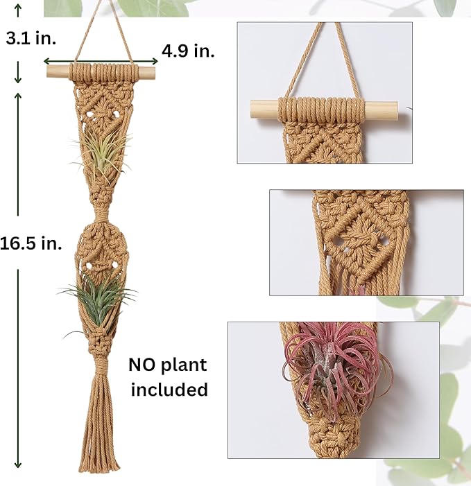 4 Pack Air Plants Holders, Wall Planters for Indoor Plants | Macrame Plant Hanger, Air Plant Hanger for Air Fern, Tillandsias, Live Houseplants & Succulent (NO Plant Included)