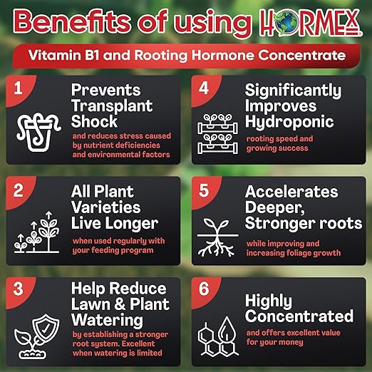 Hormex Liquid Rooting Hormone Concentrate with B1 – Root Growth Stimulator for Strong, Healthy Plants - Prevents Transplant Shock - Houseplants, Gardens, Hydroponics, Trees, Fruits & Vegetables, 32oz