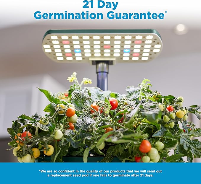 AeroGarden Harvest Lite in Green, Soil-Free Indoor Hydroponic Garden with LED Grow Light for Year-Round Gardening of up to 6 Herbs and Vegetables