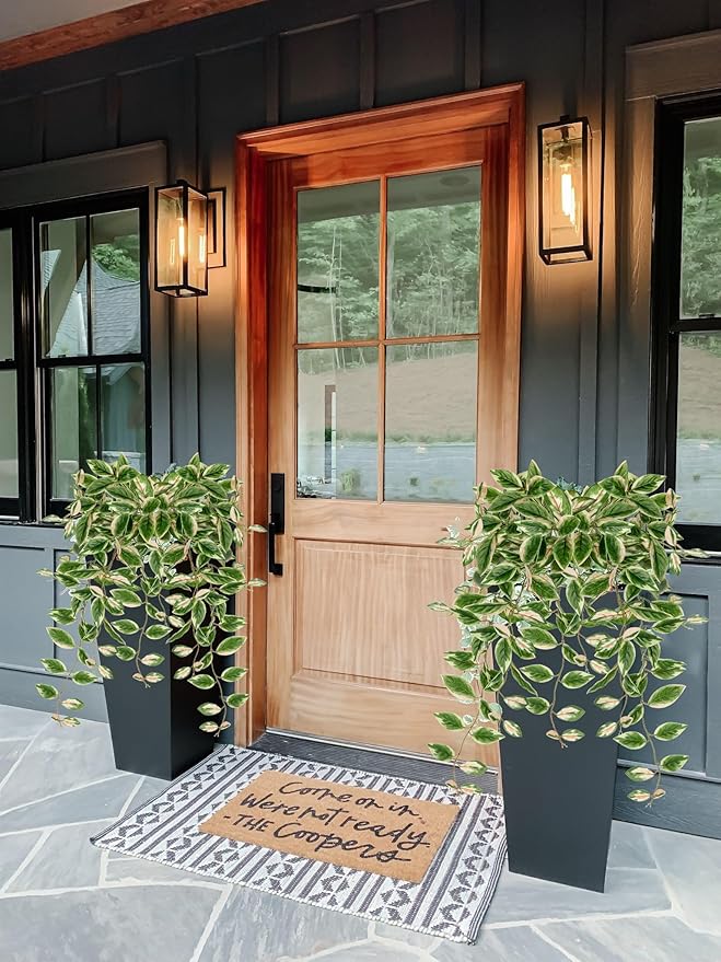 DILATATA Fake Hanging Plants Artificial Hanging Plants 92 Leaves Faux Peperomia Hanging Leaves Plants for Wall Shelf Home Indoor Outdoor Decor - 2 Pack