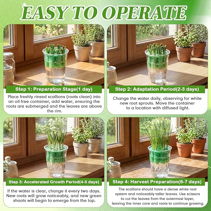 2 Pack Green Onion Planter Scallion Grower Seed Sprouting Kit Compatible with Regular Mouth Mason Jar for Windowsill Garden, Hydroponics, and Propagation Hydroponics Enthusiasts (Green)