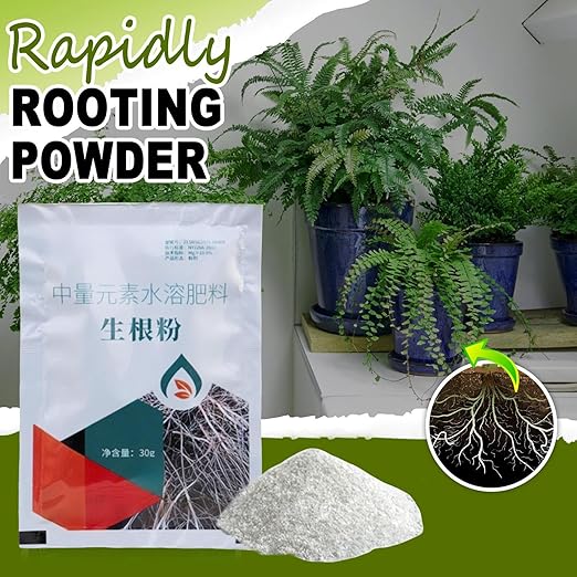 Plant Rooting Powder - Root Growth Stimulator, Cutting Propagation Aid | Clone Starter, Plant Hormons Booster, Soil Amendment, Seed Germination Enhancer, Rapid Rooting Formula for Cuttings & Seedlings