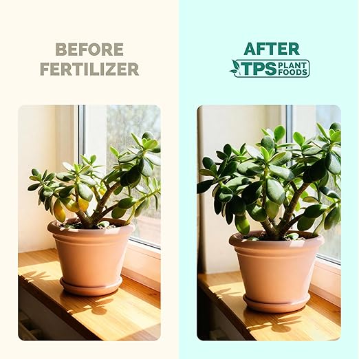 Jade Fertilizer – Gentle Liquid Plant Food for Thick Leaves, Healthy Growth & Vibrant Color, 32 oz