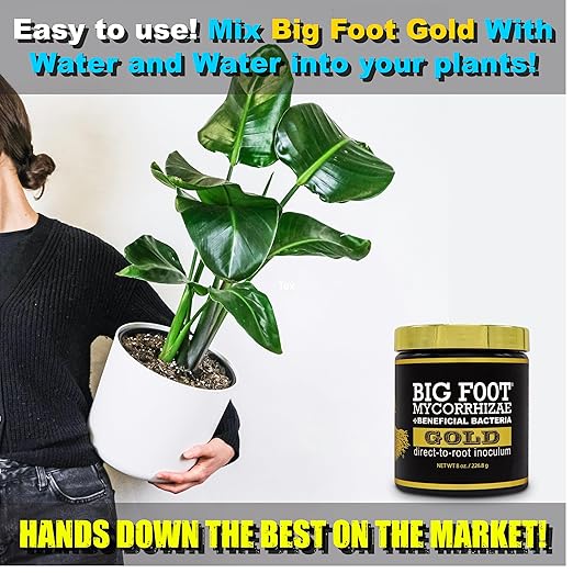 Big Foot Gold Mycorrhizal Fungi 1 oz, Beneficial Bacteria for Plant Growth, Root Stimulator, Super Concentrated 3-in-1 Formula for All Plants