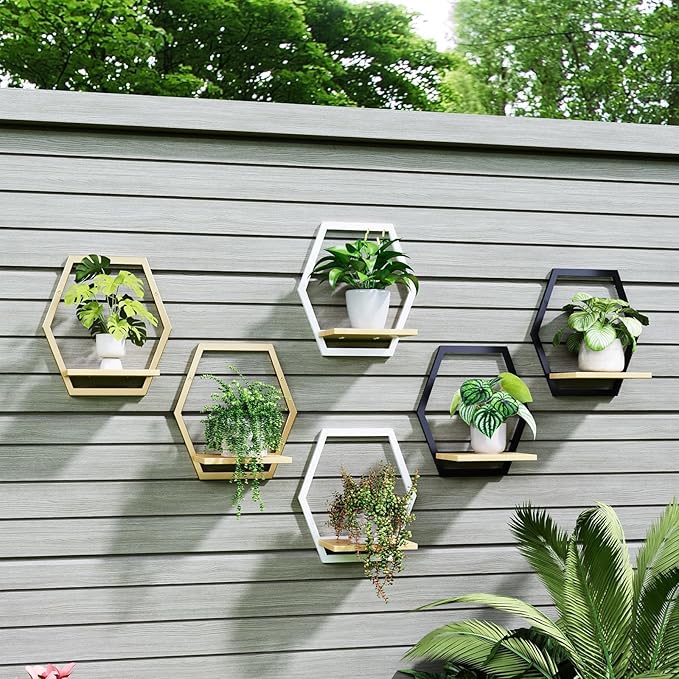 Modern Golden Hexagon Wall Planters with Solid Wood Shelves Set of 3 Geometric Floating Wall Decor for Indoor Plants, Stylish Wall Mounted Display for Succulents & Small Plants