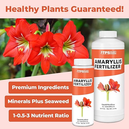 Amaryllis Fertilizer – Liquid Plant Food for Bigger Blooms, Stronger Bulb Development & Vibrant Flower Color, 8 oz