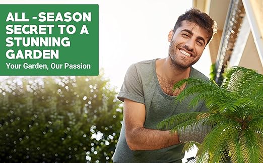 Gardenwise 8-4-8 Professional Palm Tree Fertilizer Plant Food; for Indoor Potted Plants and Outdoor Landscape Palm Trees; Quick-Release Nitrogen Fertilizer and Continuous Feeding (2 QUARTS)