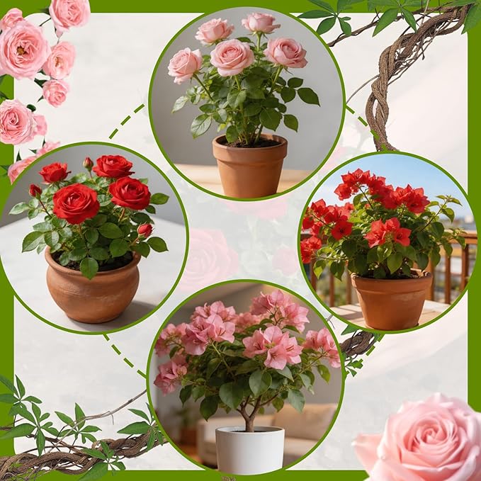 Rose Soil Potting Soil 4qt- Natural Organic Potting Mix for Roses, Superior Drainage & Breathability, Nutrient-Rich Formula to Support Healthy Rose Growth