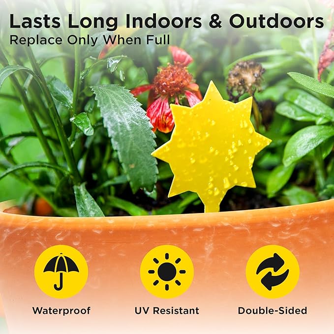 Classy Casita Yellow Sticky Traps - Fungus Gnat Trap, Gnat Traps for House Indoor, Insect Catcher Traps for Plant, Bug Sticky Traps for Plants, Fruit Fly Traps for Indoors, Fly Traps Outdoor - 24-Pack