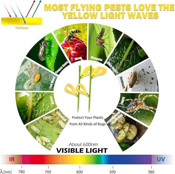 30PCS Fruit Fly Traps for Indoors Gnat Traps for House Indoor Yellow Sticky Traps for Plant Gnats Catcher for Whiteflies Fungus Gnat Mosquitoes Thrips... Stake Holders Included