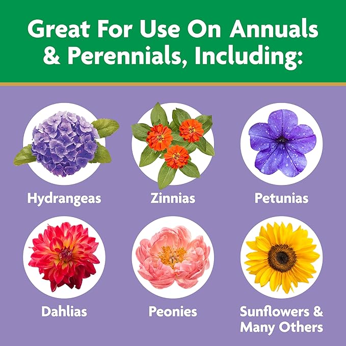 Miracle-Gro Water Soluble Bloom Booster Flower Food Fertilizer - 10-52-10 Formula for Annuals Perennials and Containers - Promotes Vibrant Flowers and Rich Color, 4 lbs.