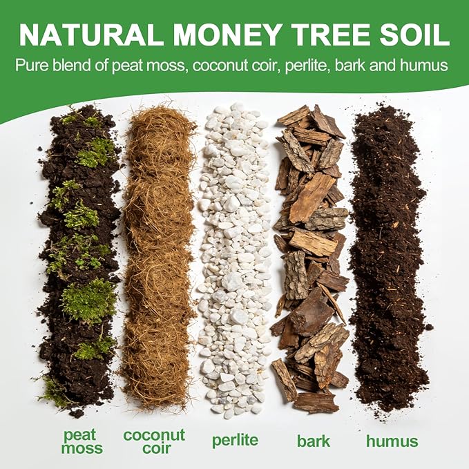 All-Natural Money Tree Soil & Indoor Potting Mix 2QT - Drainage-Enhanced Plant Soil for Healthy Indoor Plants