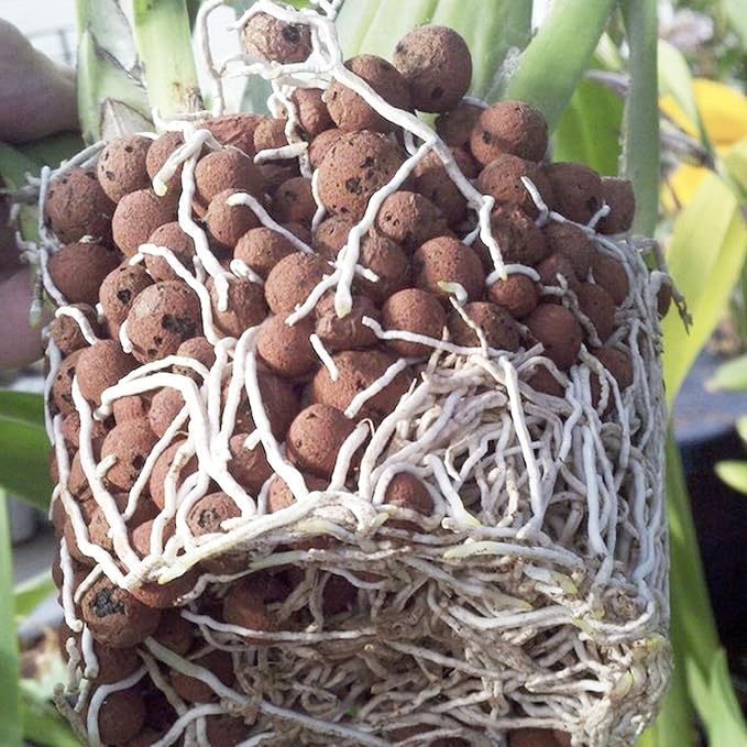 Pulovin 2.5 lbs LECA Clay Pebbles for Plants, 4-16mm LECA Balls for Indoor Plants Drainage, Hydroponics, Aquaponics, Natural Clay Balls for Soil Root Development, Orchid Potting Mix