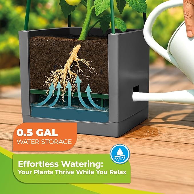 BioGreen 2 Pack Garden Tomato Planter MAXITOM, with Plant Support Trellis 59 inch and Self Watering, 4,2 Gal Planter Box for Climbing Vegetables Plants, Gray