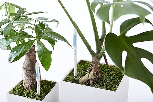 IPPINKA Sustee Aquameter, Bundle of 36, House Plant Soil Moisture Meter, Best for Indoor Potted Plants - Medium White Refillable