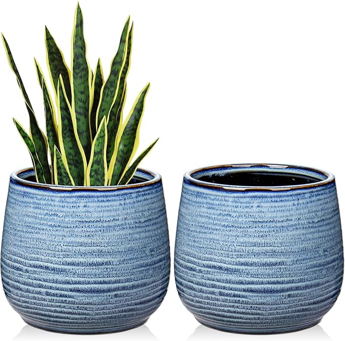 GnFlus Ceramic Plant Pots 6 Inch Set of 2, Flower Plants Pot with Drainage Holes Blue Planter Garden Pot for Succulent Cactus Home Decoration Gift Indoor Outdoor