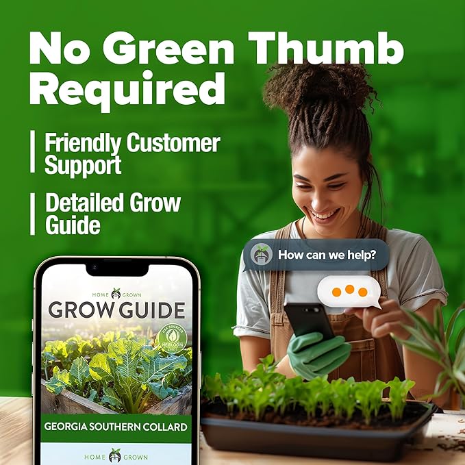 HOME GROWN Collard Greens Georgia Southern 300+ Heirloom Non GMO Seeds for Planting, High Germination, Heat & Cold Tolerant, Slow to Bolt, Nutritious Leafy Greens, Southern Cooking (Brassica oleracea)