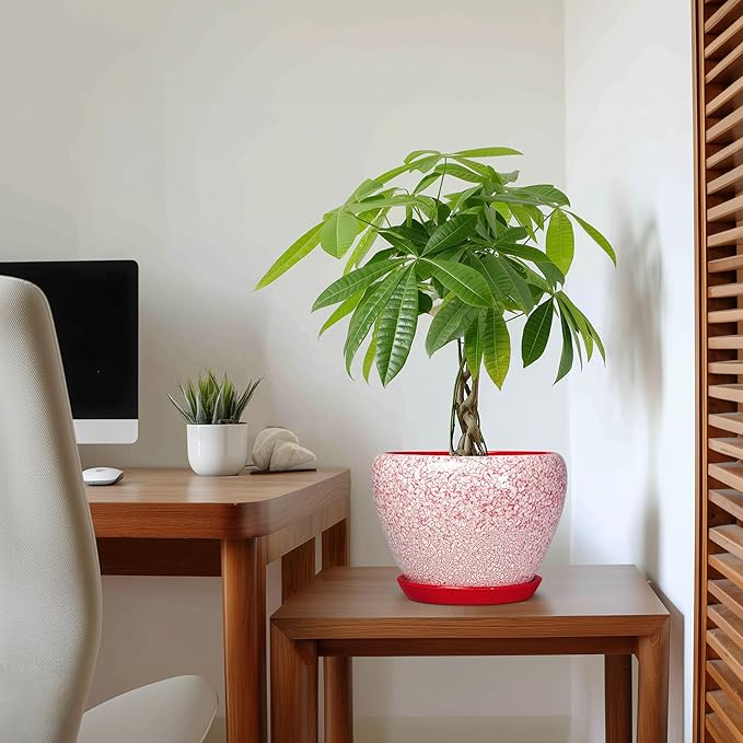 Ceramic Planter for Plants - 8 Inch Plant Pot Indoor with Drainage Hole and Tray, Round Flower Pots for Indoor Outdoor, Modern Planter, Home Decor, Gifts for Plant Lovers, Crackle Red
