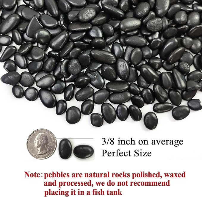FANTIAN 2 lbs Black Pebbles for Indoor Plants, 3/8 inch Decorative Rocks, Black River Rocks for Succulent Potted Plant, Vase, Aquarium, Landscaping and Outdoor Garden Rocks