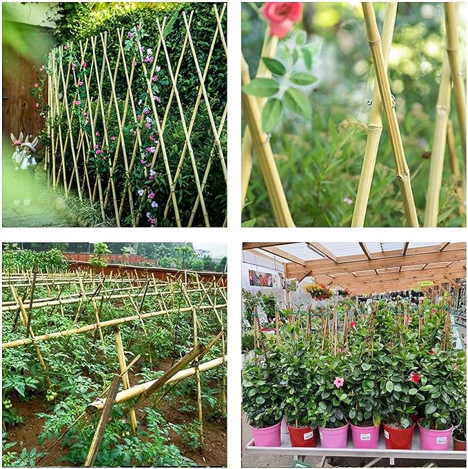 Cambaverd 6ft Bamboo Garden Stakes Eco-Friendly Plant Stakes 6 Feet, Bamboo Poles for Tomatoes Beans Climbing Plants Support - Pack of 20 Bamboo Stakes