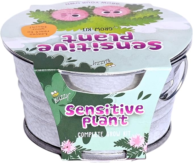 BUZZY Seeds Sensitive Plant Grow Kit – Mini Basin Touch Reactive Plant Starter Set with Moving Leaves, Indoor Gardening Gift and DIY Home Project