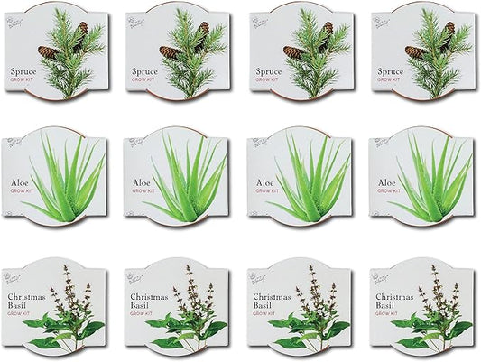 BUZZY Seeds Radiant Collection 12-Pack – All-in-One Mini Terracotta Seed Starter Kit for Herbs, Succulents, and Trees, Includes Aloe, Christmas Basil, and Spruce Seeds, Perfect Gardening Gift