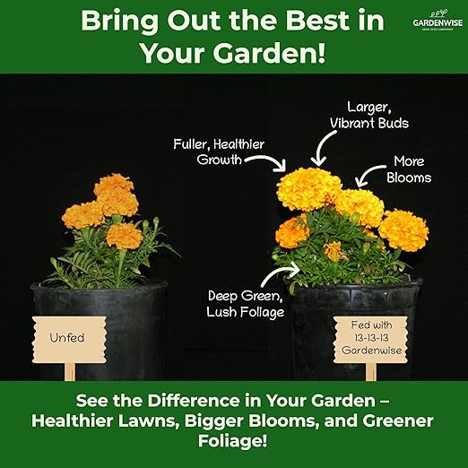 Gardenwise 13-13-13 Slow Release Granular Fertilizer – All Purpose Plant Food 13 13 13 for Outdoor Grass, Vegetables, Roses, Flowers, Shrubs, Trees. Lawns, Gardens, Potted Plants (1 Quart)