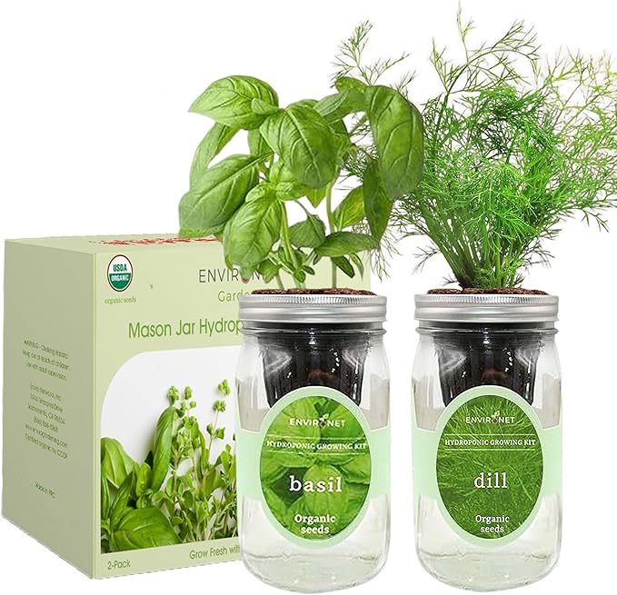 2-Pack Hydroponic Mason Jar Herb Garden Kit, Indoor Herb Garden Self-Watering Starter Kit (Basil,Dill)