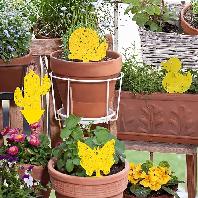 Gideal 24-Pack Dual-Sided Yellow Sticky Traps for Indoor/Outdoor Use, Gnat Trap for Flying Plant Insect Such as Fungus Gnats, Whiteflies, Aphids, Fruit Fly, Leafminers, etc - Cute Shapes