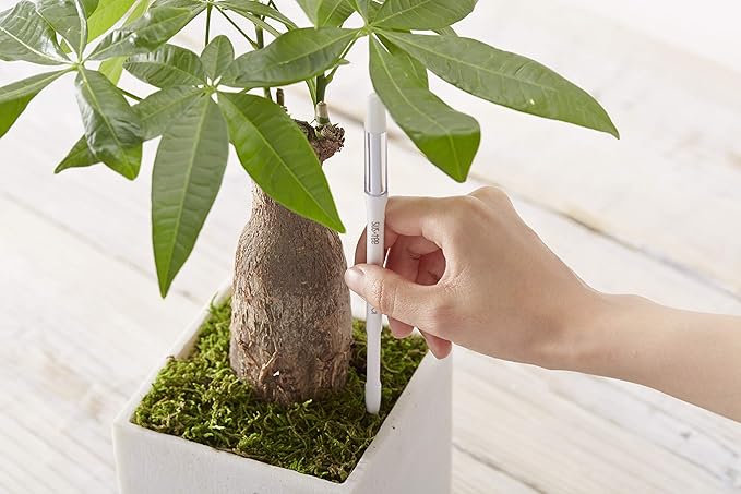 Sustee Aquameter (Large Green Refillable - Bundle of 2) - House Plant Soil Moisture Meter, Humidity Sensor Probe, Water Level Indicator - Best for Indoor Potted Plants