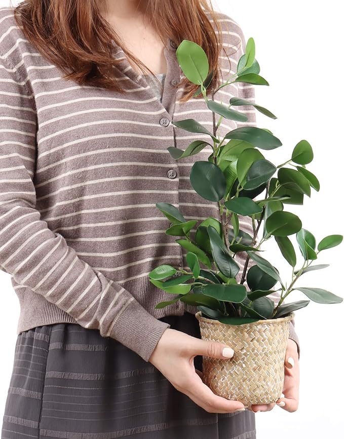 SAROSORA Artificial Ficus Tree Small Fake Plants in Weaved Pot 20" Height for Living Room Desktop Decor Indoor Home Office Ins Style (Green, 1)